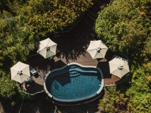 Lalibela Wildlife Reserve - Marks Camp Family Lodge