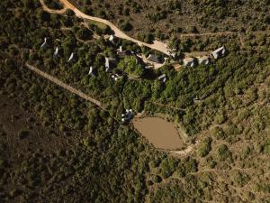 Lalibela Wildlife Reserve - Marks Camp Family Lodge