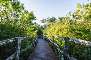 Lalibela Wildlife Reserve - Marks Camp Family Lodge