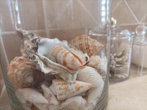 The Roses Garden img1