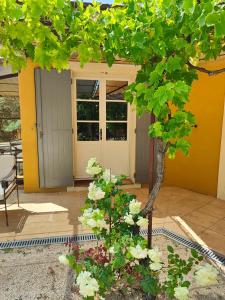 B&B / Chambres d'hotes Le Chant du Coeur : photos des chambres