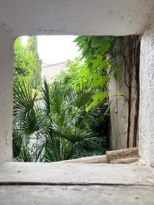 Hotels capsule Ecurie de l oasis : photos des chambres