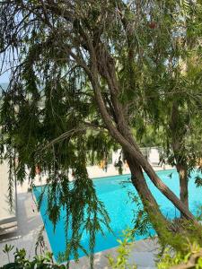 B&B / Chambres d'hotes Villa Hirondelles 35 : photos des chambres