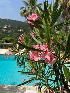 B&B / Chambres d'hotes Villa Hirondelles 35 : photos des chambres