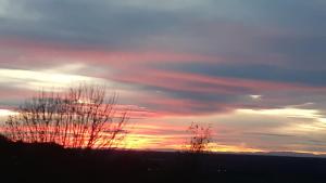 Réz de Jardin - Horizon doré
