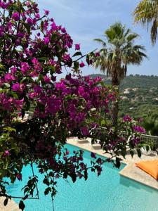 B&B / Chambres d'hotes Villa Hirondelles 35 : photos des chambres