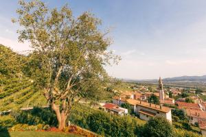 Ca Lorenza Valdobbiadene Tera Nova