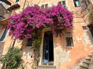 Suite Vecchio Frantoio - Sanremo