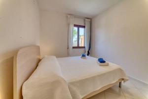 Domus Blu img9