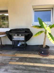 Maisons de vacances Maison calme 160m2 (1,8km plage) : photos des chambres