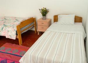 Magic House Experience