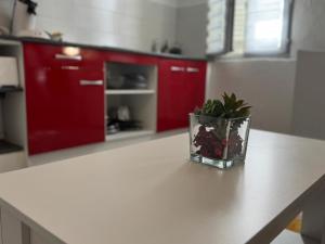 Appartements Studio 2 personnes dans le celebre quartier des chartreux : photos des chambres