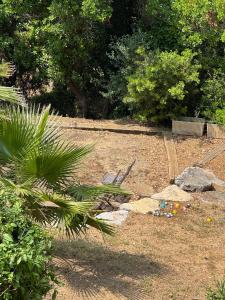 B&B / Chambres d'hotes Villa Hirondelles 35 : photos des chambres