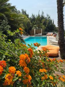 B&B / Chambres d'hotes Villa Hirondelles 35 : photos des chambres