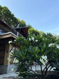 Ripples Cove Retreat - Your dream Lakeside getaway