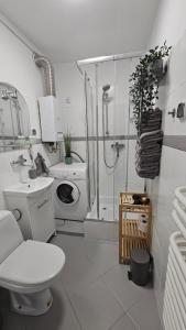 Apartament RYŚ Polanica Zdrój