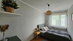 Apartament RYŚ Polanica Zdrój