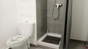 Appartements HIBISCUS - Duplex avec Jardin prive - 6 Pers- Entree Autonome - Wifi & Parking Gratuite : photos des chambres