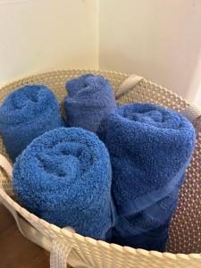 Villa amana El sitio