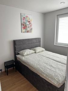 Svečių namai PAS MEŠKĄ