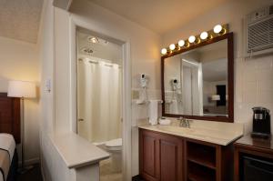 Standard  Room room in Travelers Rest Motel