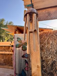 Dormir dans une bulle Grandiose, avec Spa, la tête dans les étoiles