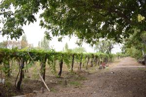 El Tirano, Casa de campo