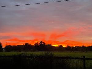 Secret Garden getaway close to I 75