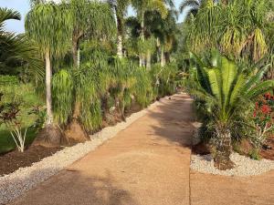 Tranquility Serenity Room 4