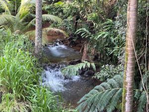 Tranquility Serenity Room 4