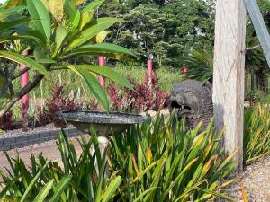 Tranquility Serenity Room 4