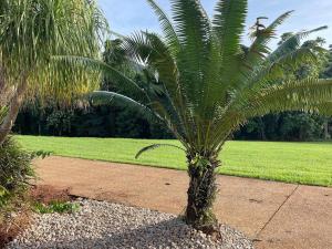 Tranquility Serenity Room 2