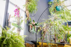 Luz de Luna Barrio Escalante