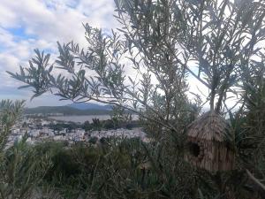 Luxury Bodrum Villa With Panoramic Sea View