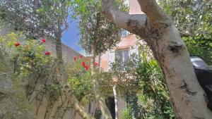 Une bulle de bien être au rendez vous