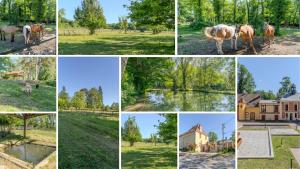 La Roseraie - Disney 30 minutes