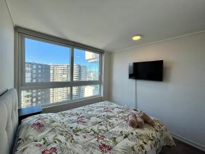 Hermoso y Moderno Depto en Costa Montemar