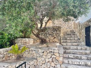 VH CostaBlanca - RULLE