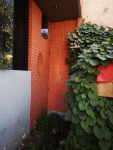 Bungalow Casa Junto al Rio