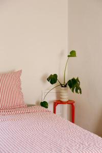 Appartements Appartement en plein centre historique d-Uzes : photos des chambres