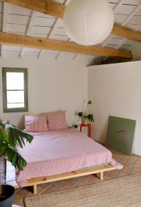 Appartements Appartement en plein centre historique d-Uzes : photos des chambres
