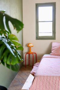 Appartements Appartement en plein centre historique d-Uzes : photos des chambres