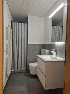 Apartment for 3, close to Zurich and Luzern, free private parking