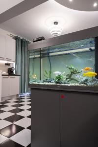 Aphrodites House Upon White Tower