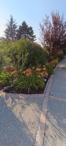 Maisons d'hotes Villa Fiorenza - jungle - nature & vignobles : photos des chambres