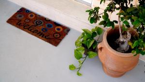 IKARUS apartment with courtyard & pool in Chania