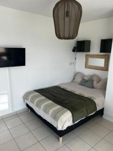 Renovated studio with 50 m2 terrace