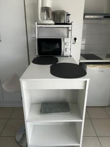 Renovated studio with 50 m2 terrace