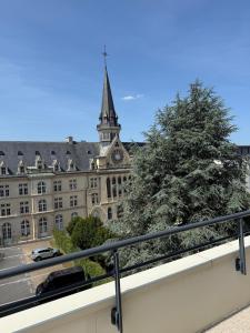 Renovated studio with 50 m2 terrace