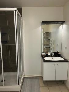 Appartements Renovated studio with 50 m2 terrace : Appartement 1 Chambre